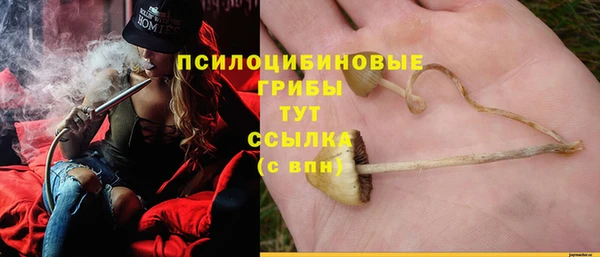 героин Няндома