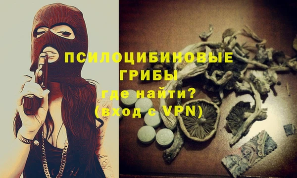 apvp Нягань