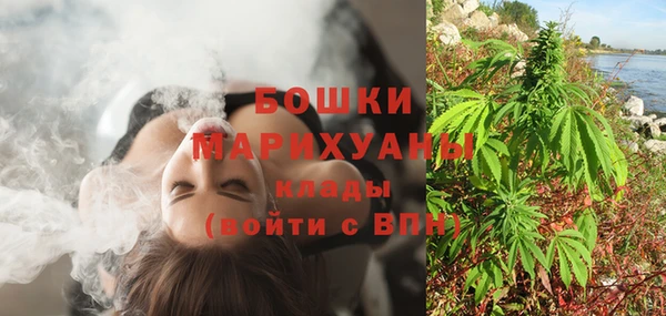 соль ск Осинники
